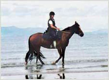 Ireland-Sligo/Donegal-Riding by the Sea